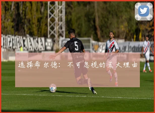选择希尔德:不可忽视的五大理由